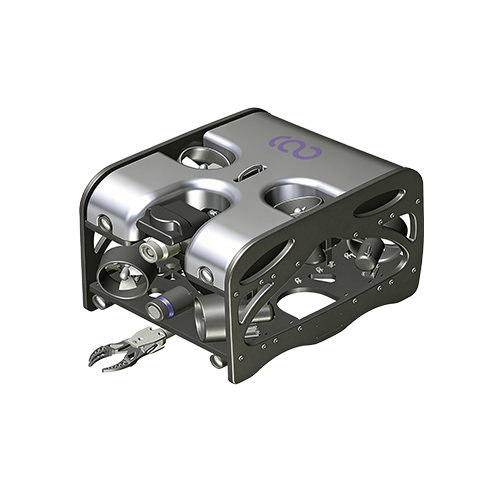 CL 804 · Dive into the Sea